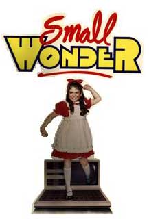 Small Wonder Logo